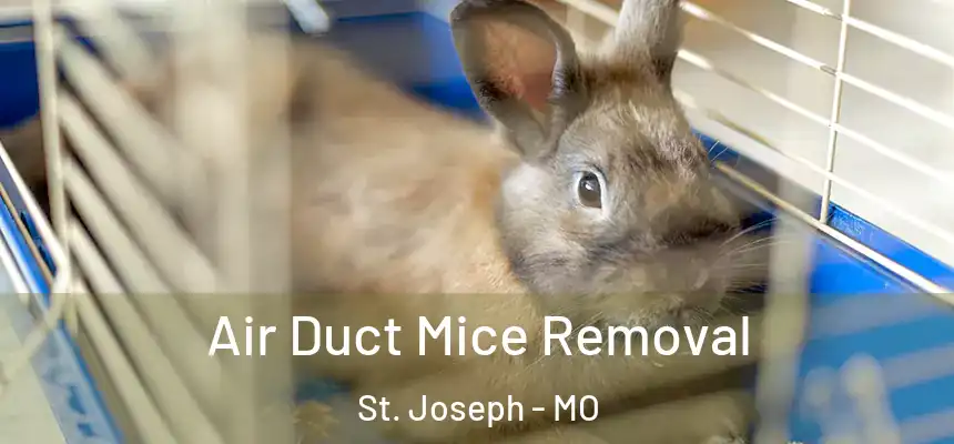 Air Duct Mice Removal St. Joseph - MO