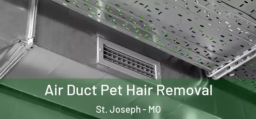 Air Duct Pet Hair Removal St. Joseph - MO
