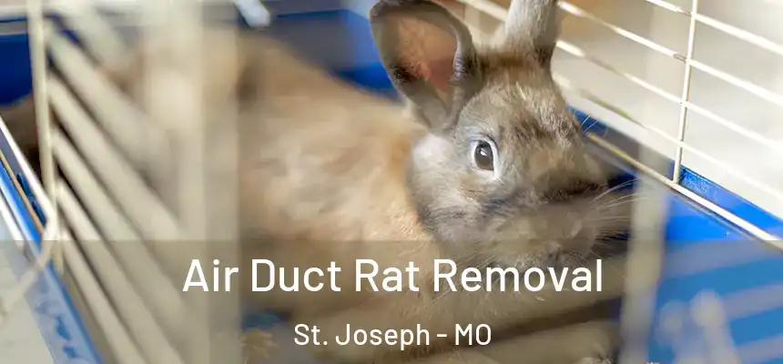Air Duct Rat Removal St. Joseph - MO