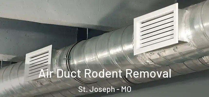 Air Duct Rodent Removal St. Joseph - MO