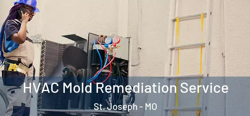 HVAC Mold Remediation Service St. Joseph - MO