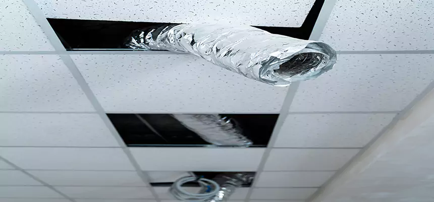 Our Air Duct Pet Hair Removal Services in St. Joseph, MO