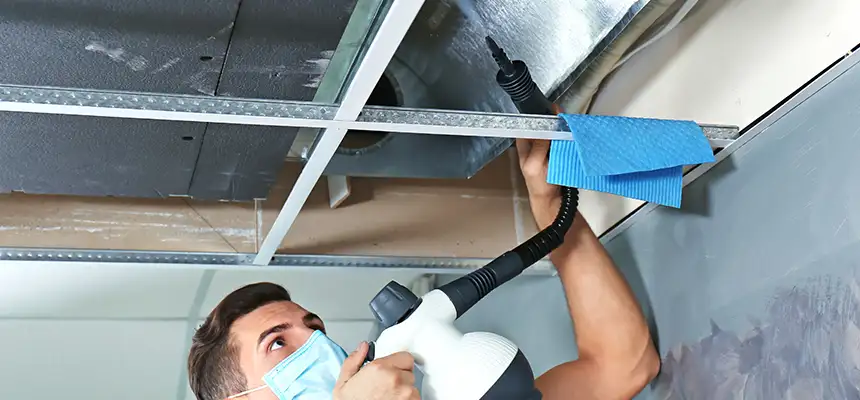 Our Air Duct Rodent Removal Services in St. Joseph, MO