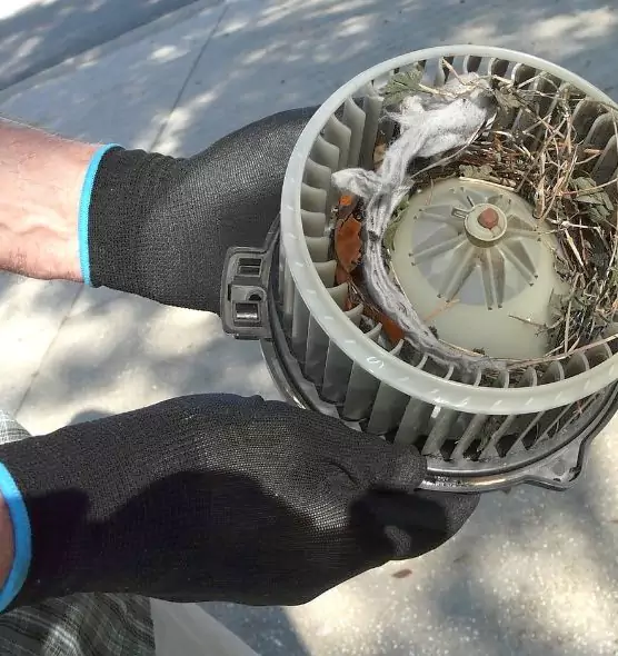 About Air Duct Rat Removal in St. Joseph, MO